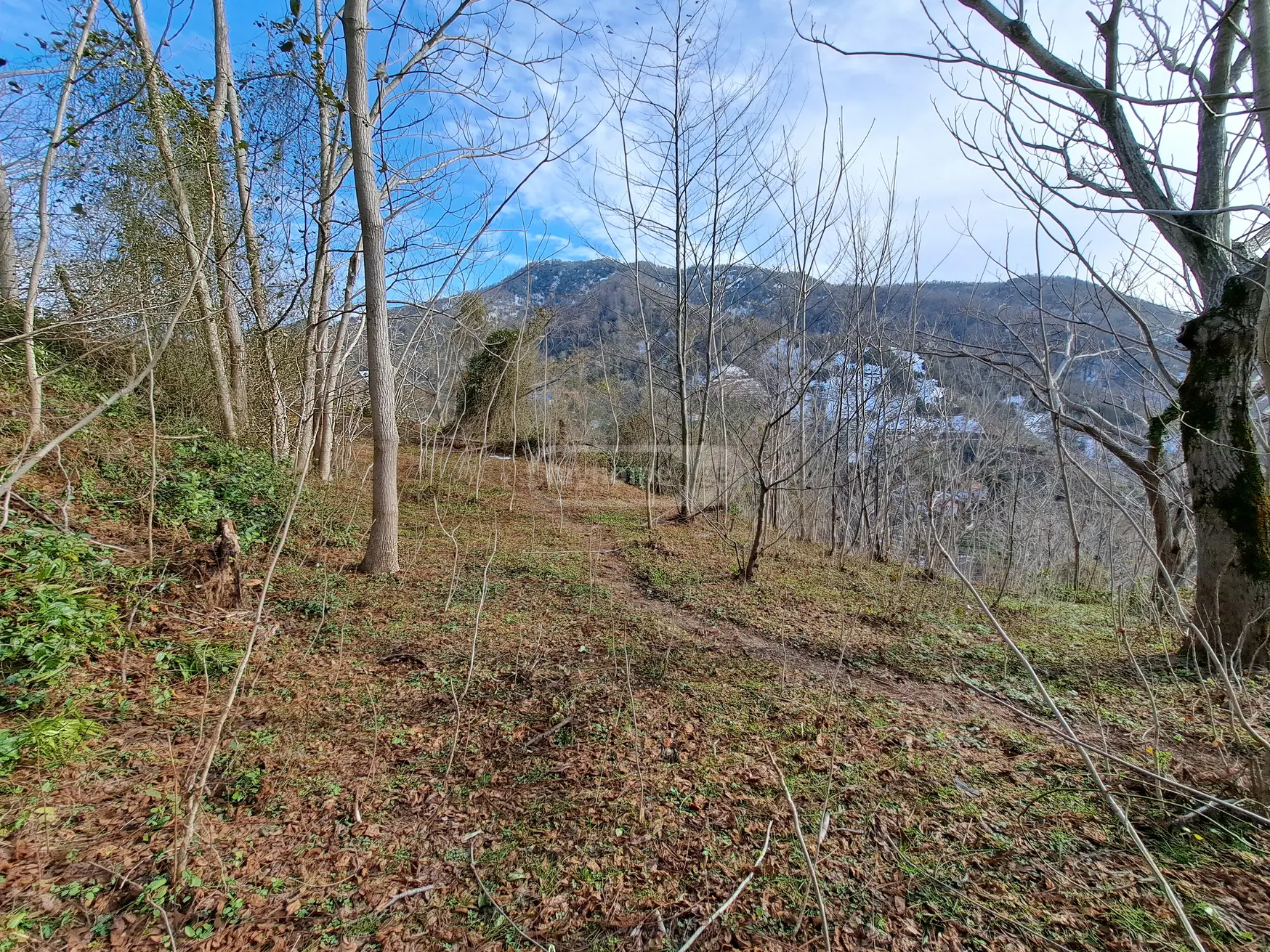 Agricultural Plot For Sale In Khelvachauri view 1