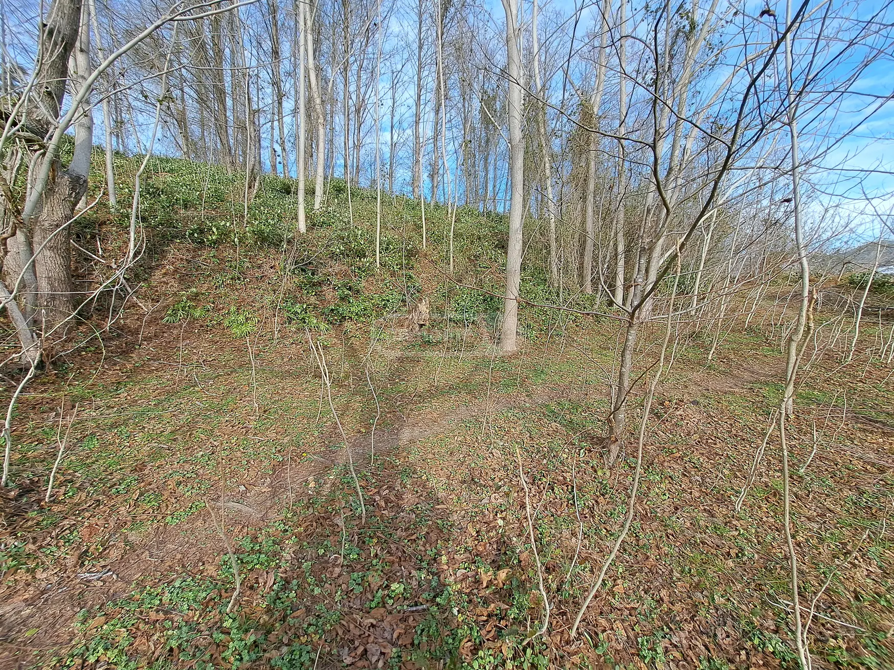 Agricultural Plot For Sale In Khelvachauri view 4