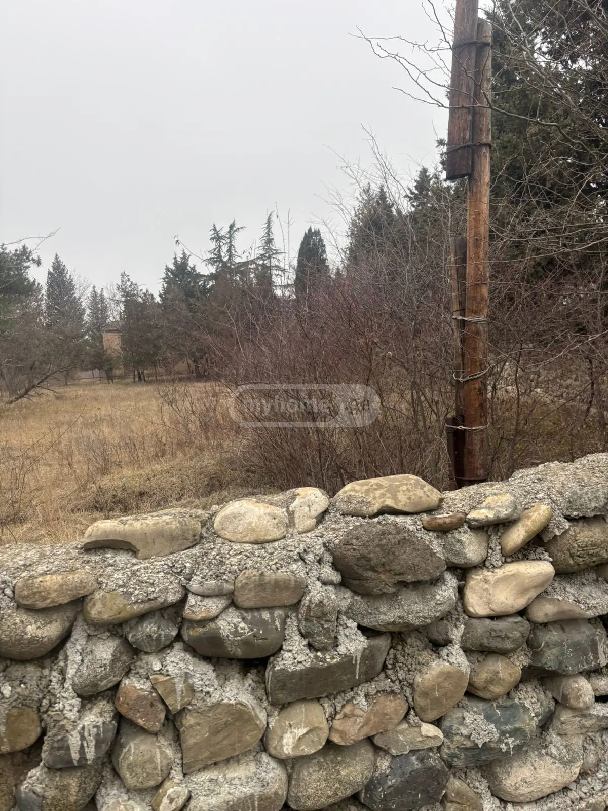 Non-Agricultural Plot For Sale In Kaspi view 5