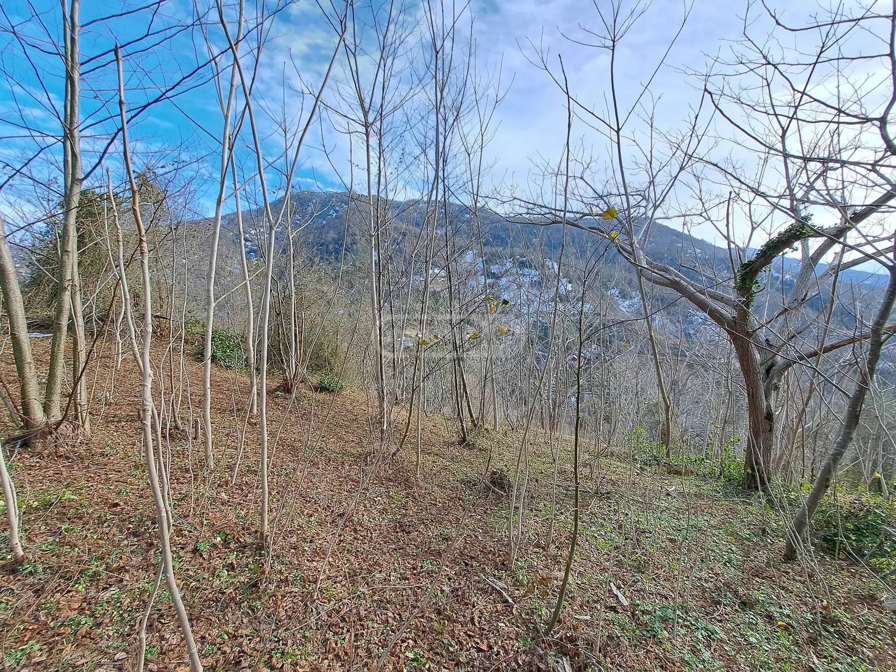 Agricultural Plot For Sale In Khelvachauri view 3