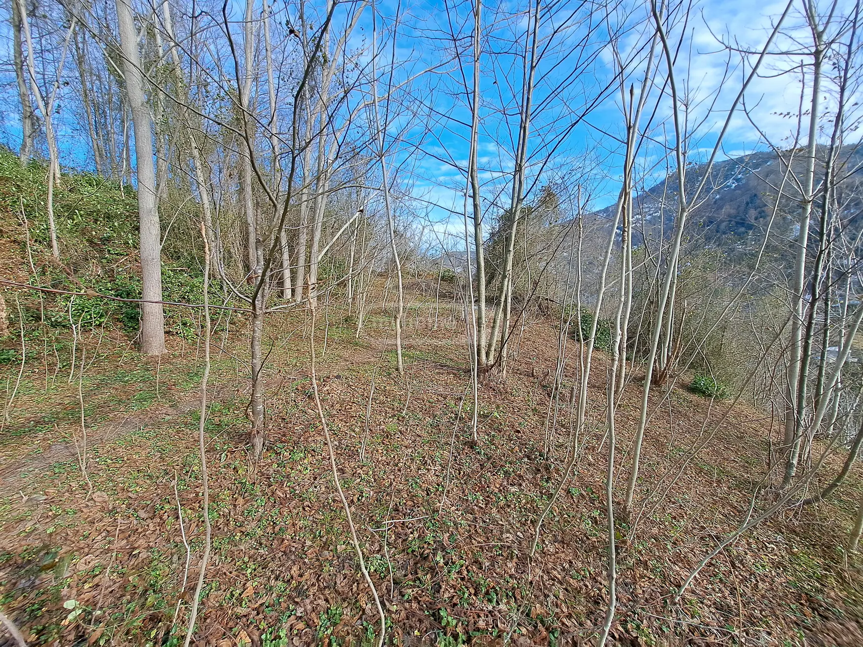 Agricultural Plot For Sale In Khelvachauri view 2