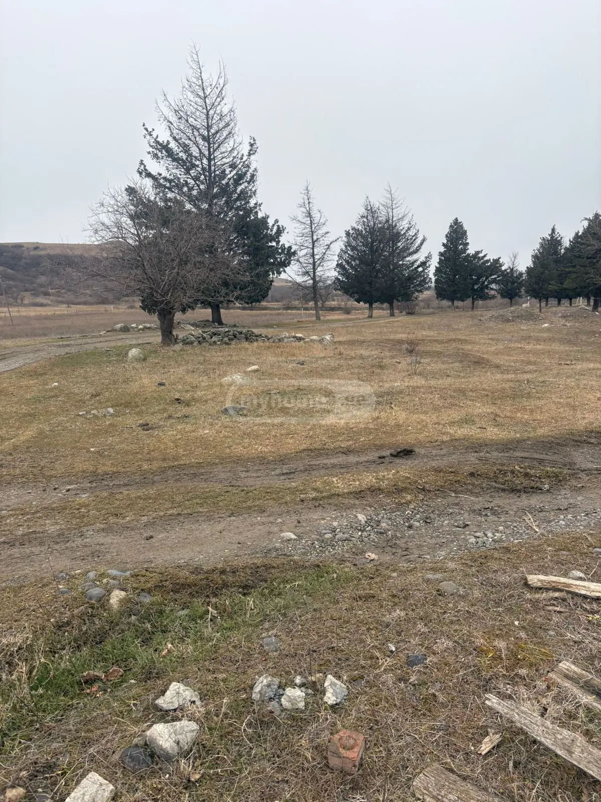 Non-Agricultural Plot For Sale In Kaspi view 3