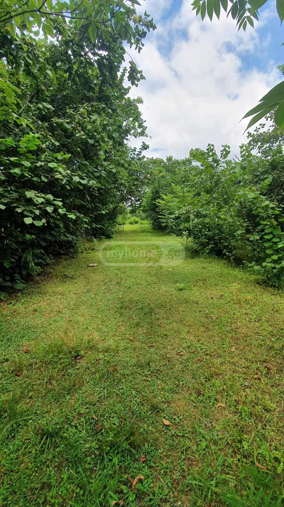Agricultural Plot For Sale In Gardabani view 1