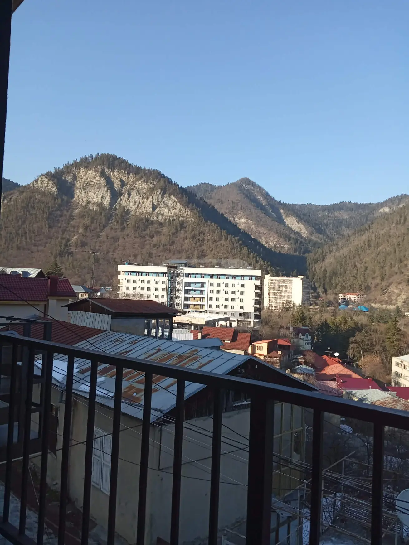 1 Room Private House Daily Rent In Borjomi view 10