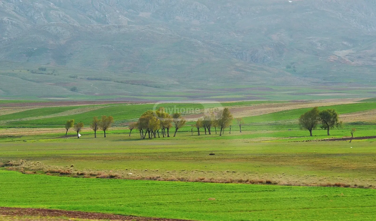Продажа Agricultural Plot в In Rustavi view 3