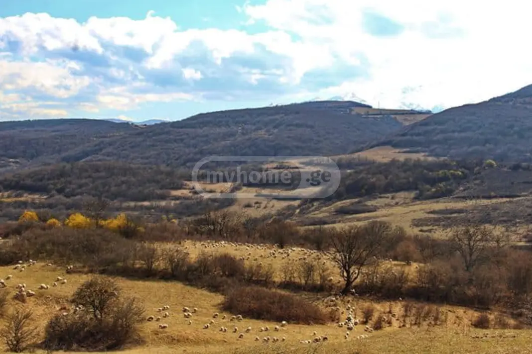 Продажа Agricultural Plot в In Rustavi view 1