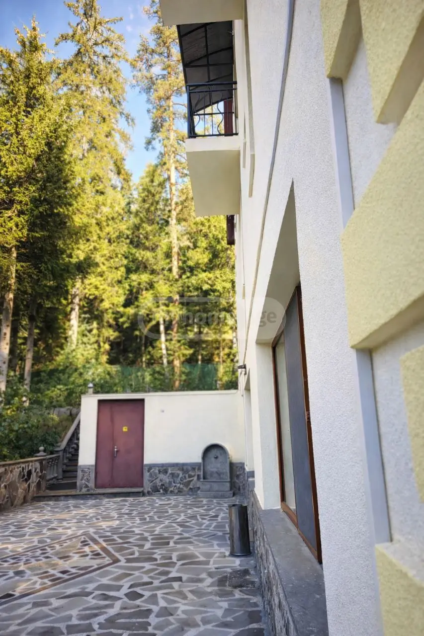 10+ Room Country House Daily Rent In Borjomi view 10