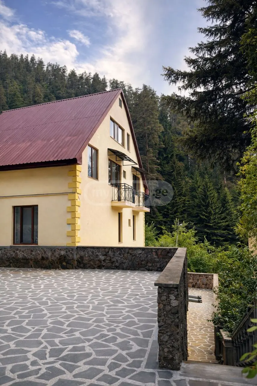 10+ Room Country House Daily Rent In Borjomi view 12