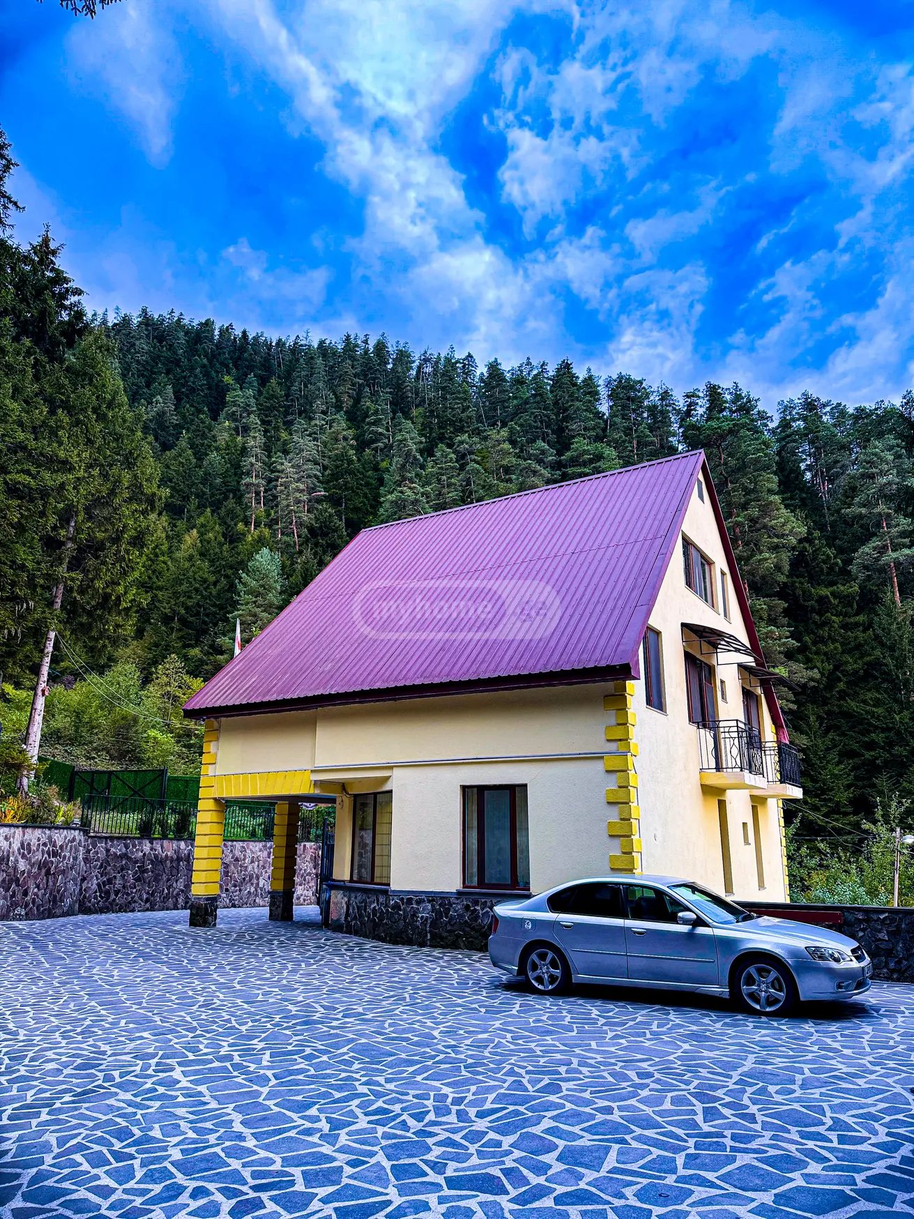 10+ Room Country House Daily Rent In Borjomi view 16