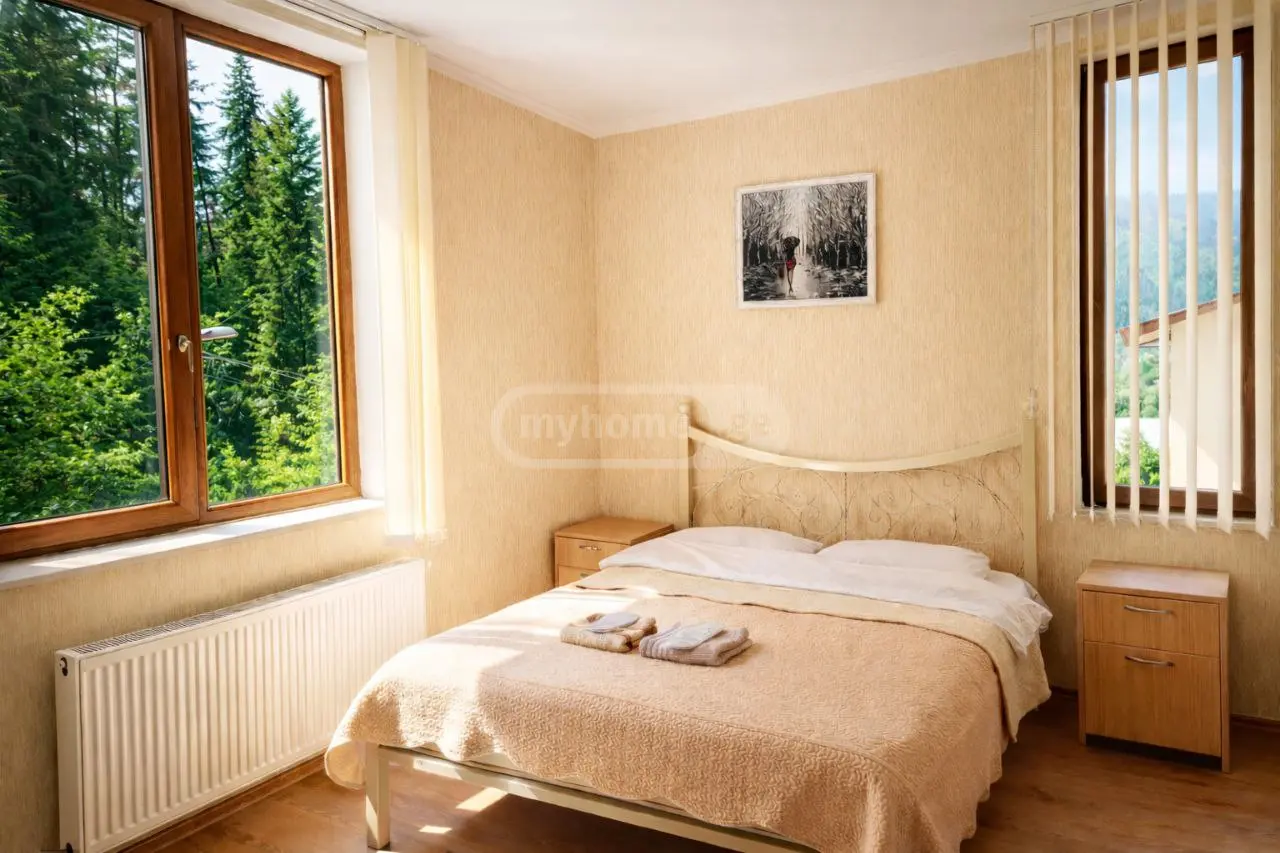 10+ Room Country House Daily Rent In Borjomi view 8