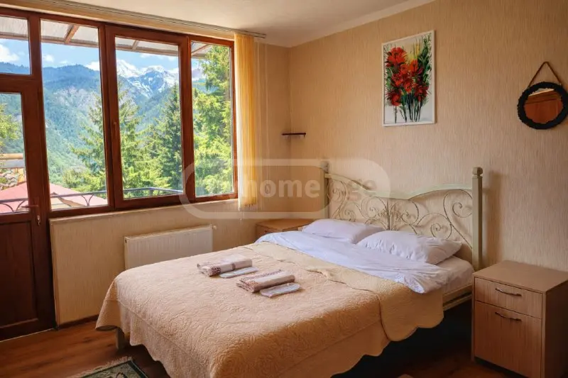 10+ Room Country House Daily Rent In Borjomi view 7