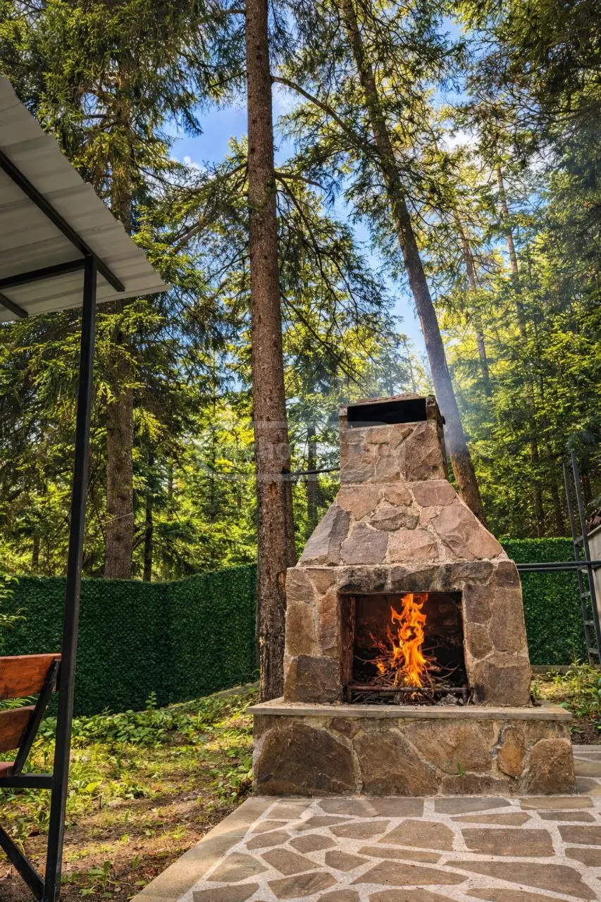 10+ Room Country House Daily Rent In Borjomi view 4