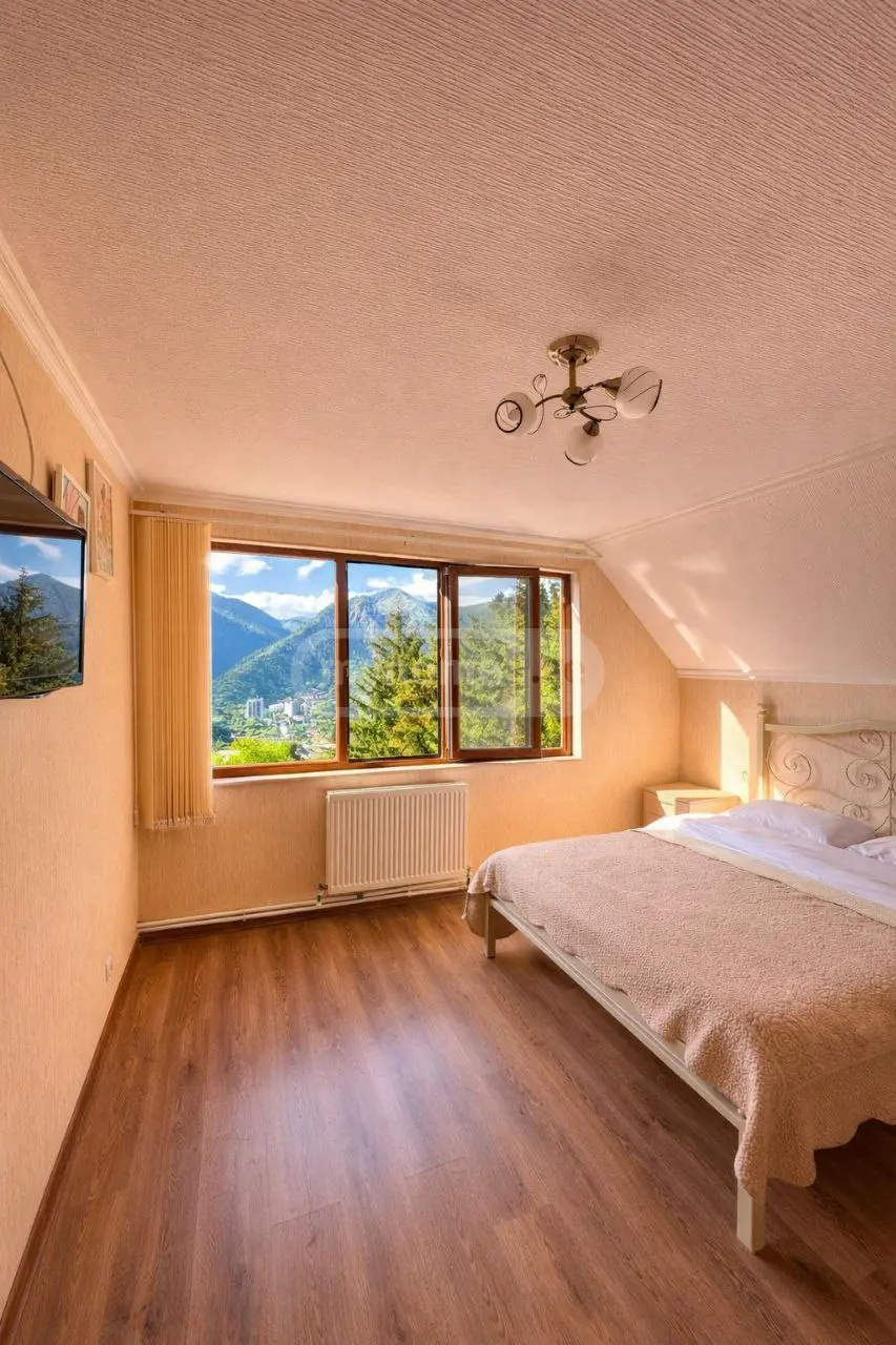 10+ Room Country House Daily Rent In Borjomi view 6