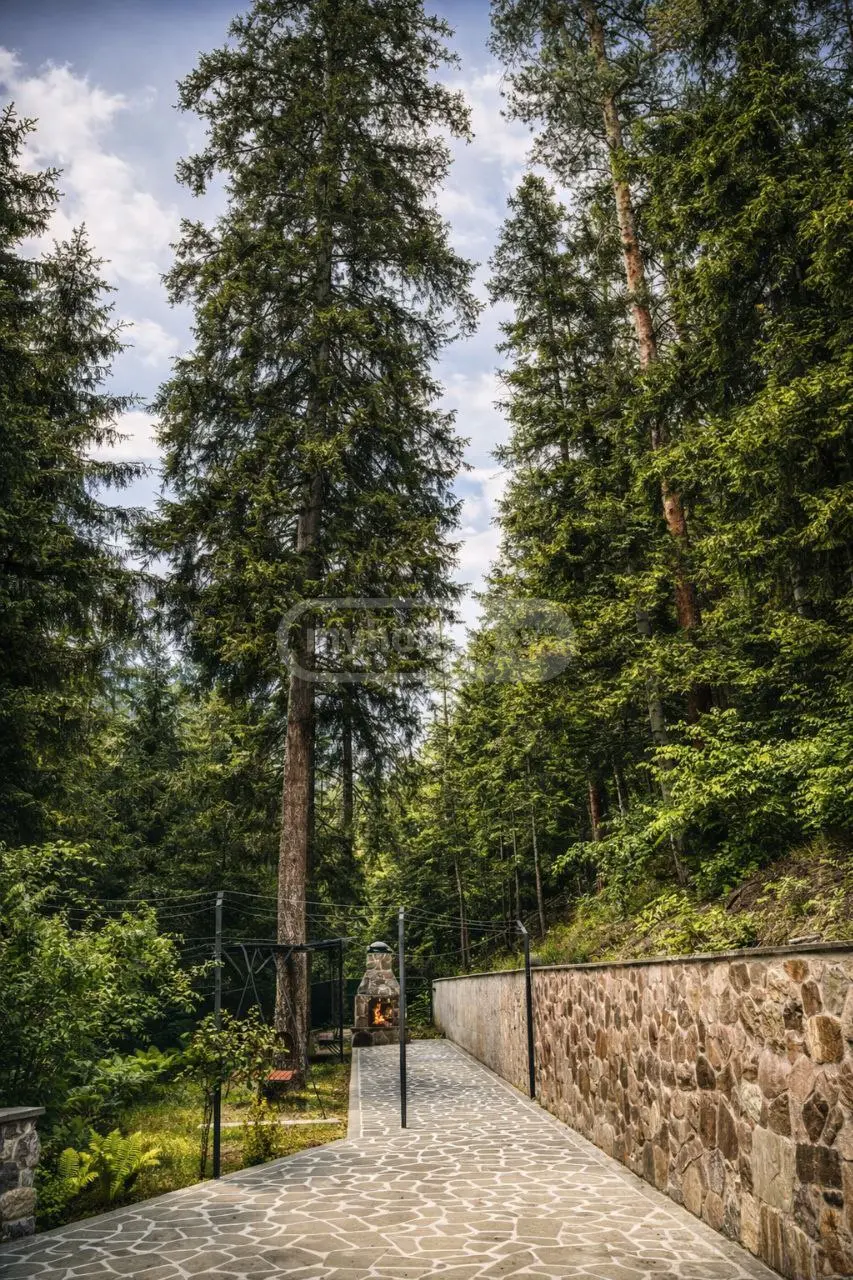10+ Room Country House Daily Rent In Borjomi view 5