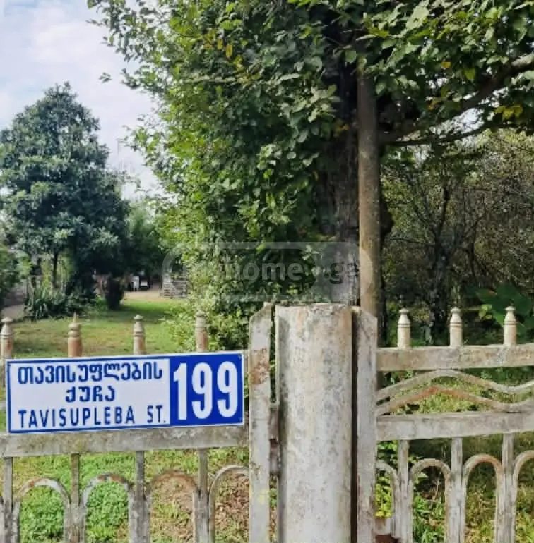 Agricultural Plot For Sale In Zugdidi view 2
