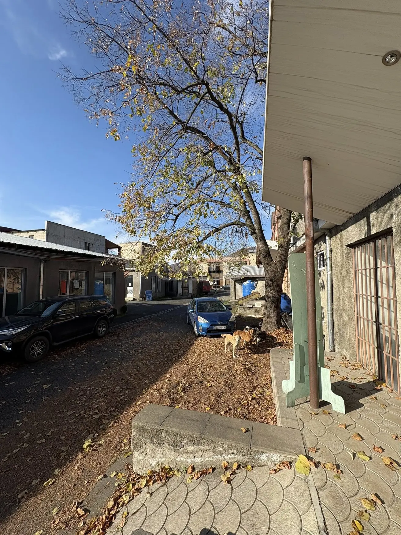 Trade Commercial Area For Sale In Kvareli view 2