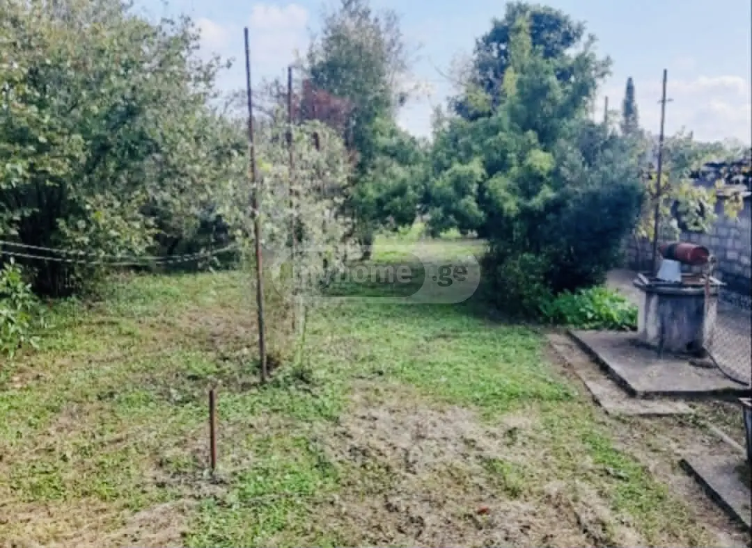 Agricultural Plot For Sale In Zugdidi view 1