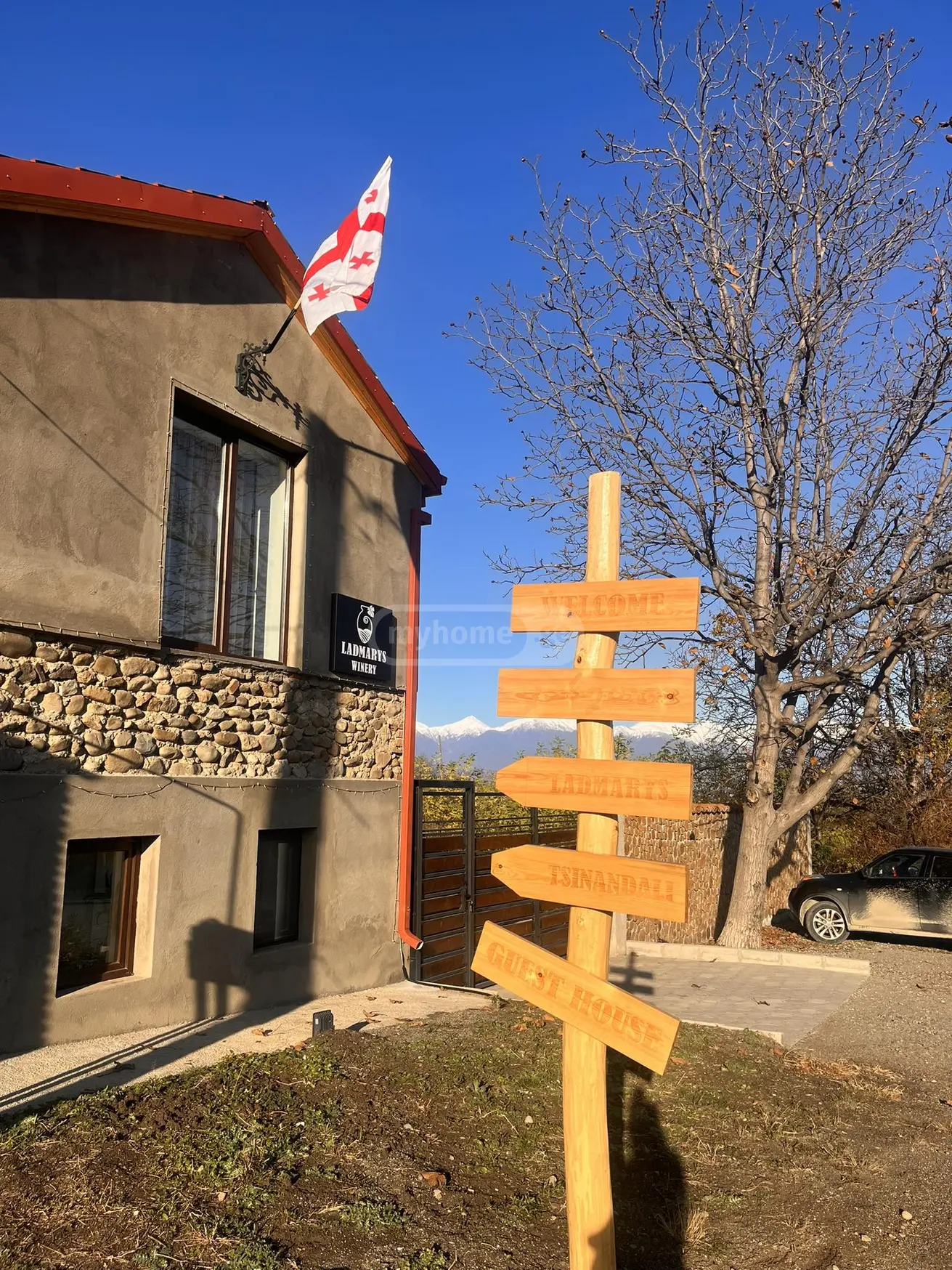 7 Room Country House Daily Rent In Tsinandali, In Telavi Municipality view 9