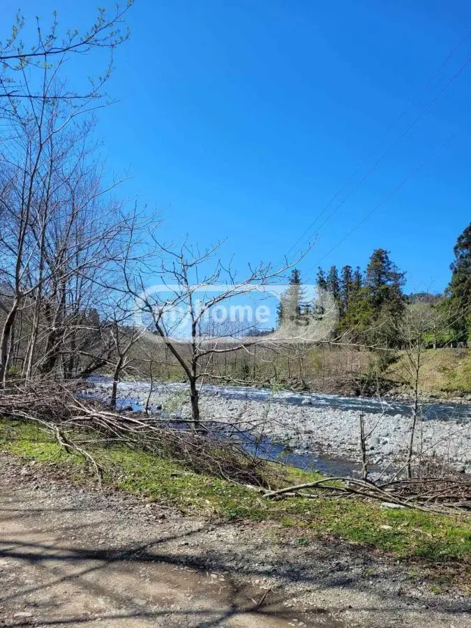 Agricultural Plot For Sale In Chaqvi, In Kobuleti Municipality view 2