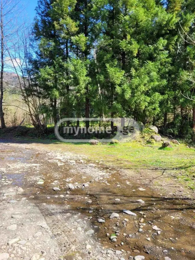 Agricultural Plot For Sale In Chaqvi, In Kobuleti Municipality view 1