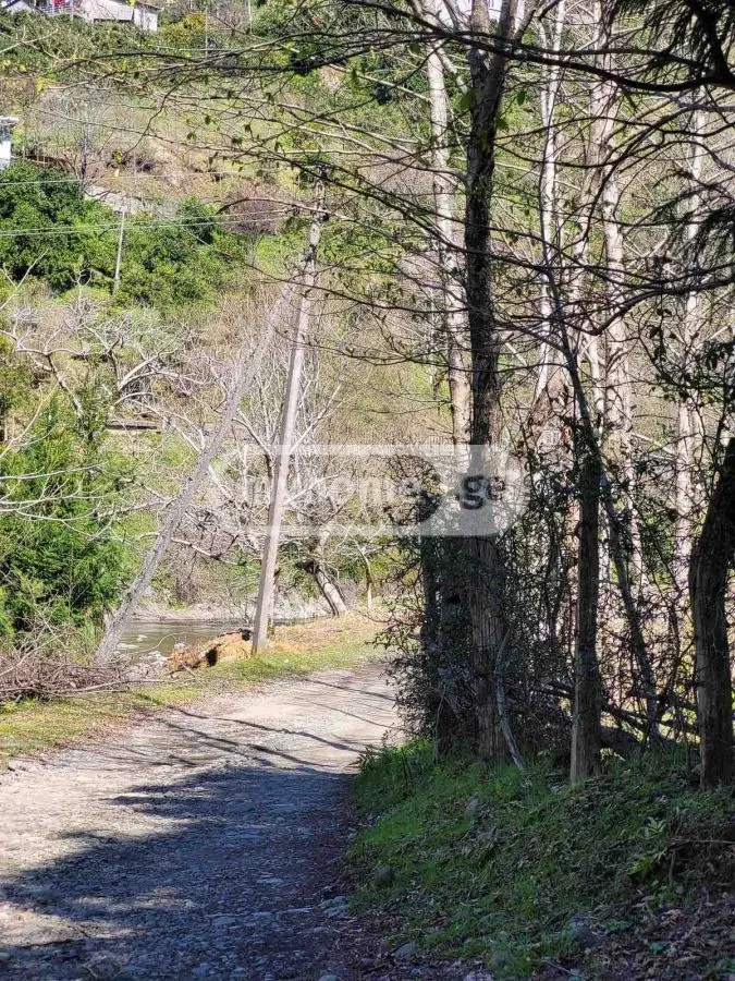 Agricultural Plot For Sale In Chaqvi, In Kobuleti Municipality view 6