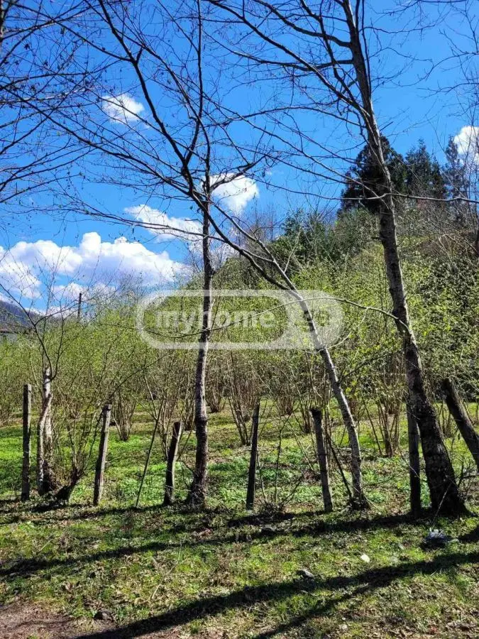 Agricultural Plot For Sale In Chaqvi, In Kobuleti Municipality view 4