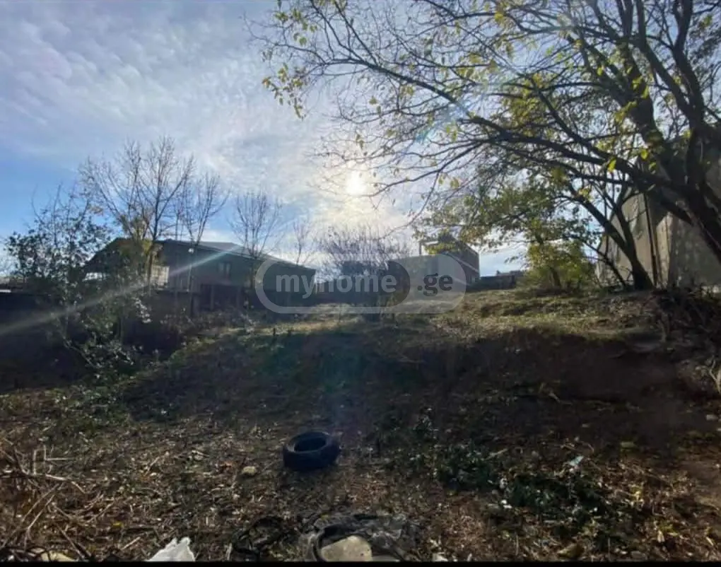 Non-Agricultural Plot For Sale In Isani view 4