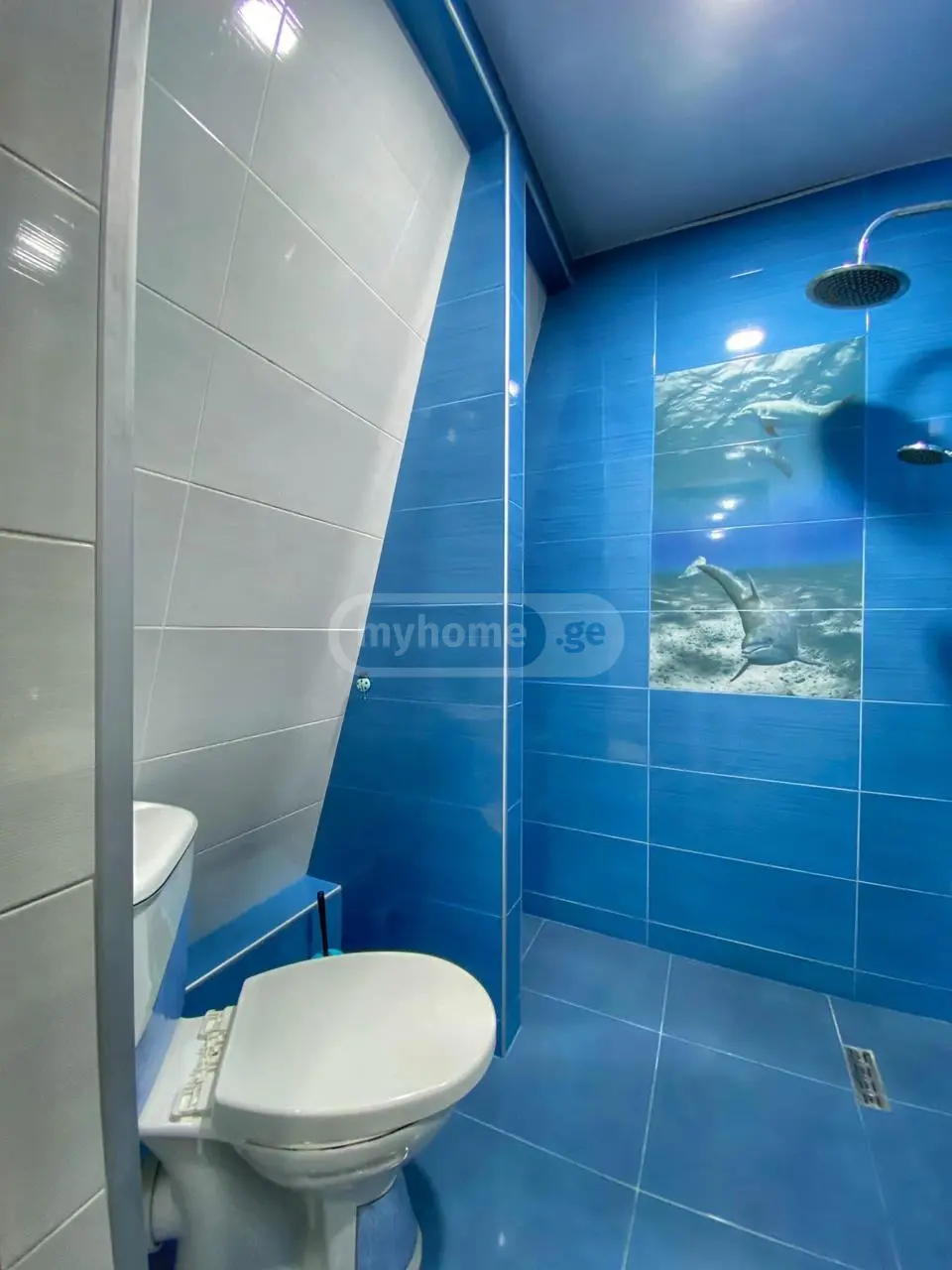5 Room Private House For Rent In Boni-Gorodok District, In Batumi view 16