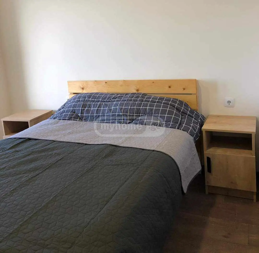 2 Room Apartment For Rent In Bakuriani view 6