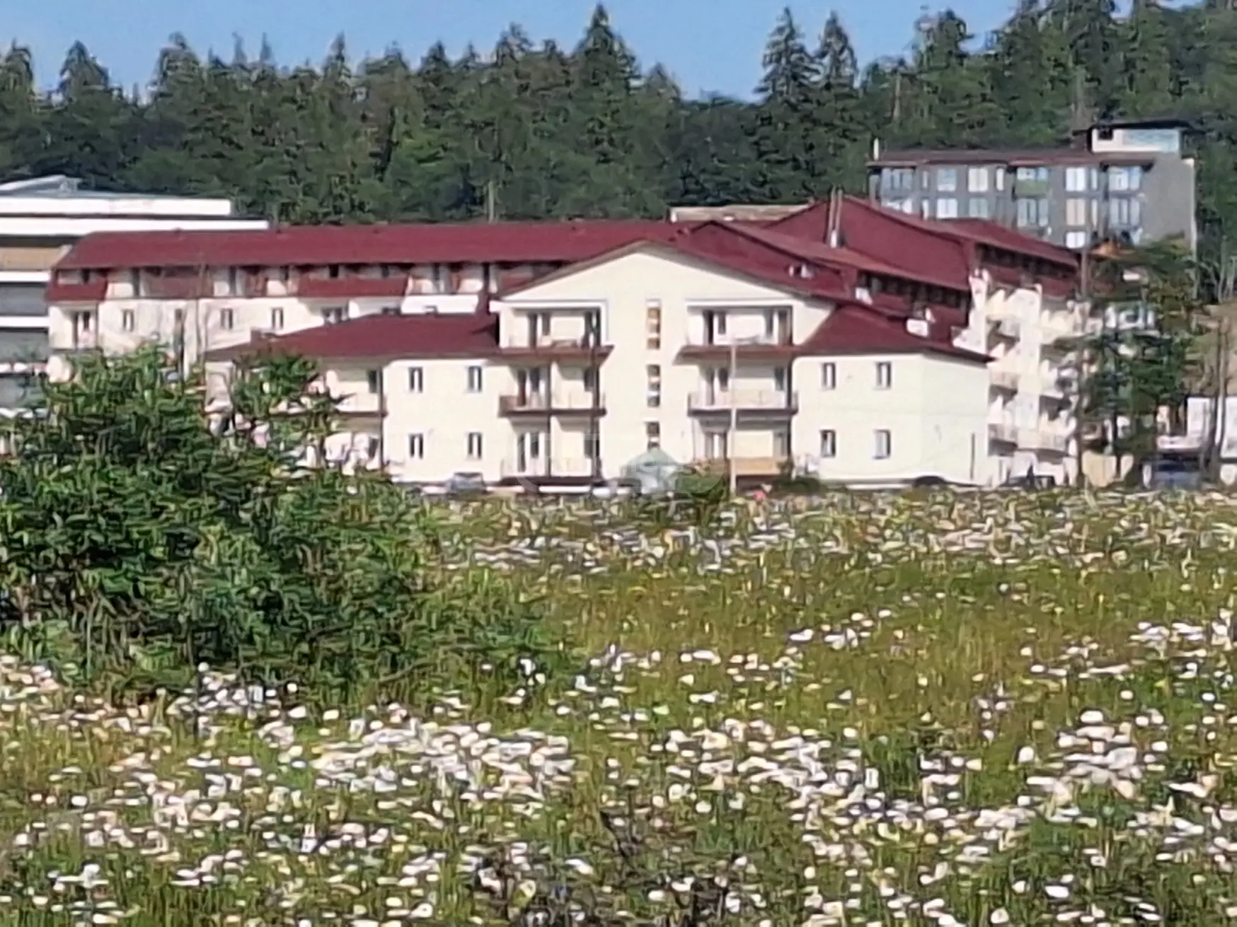 2 Room Apartment For Rent In Bakuriani view 11