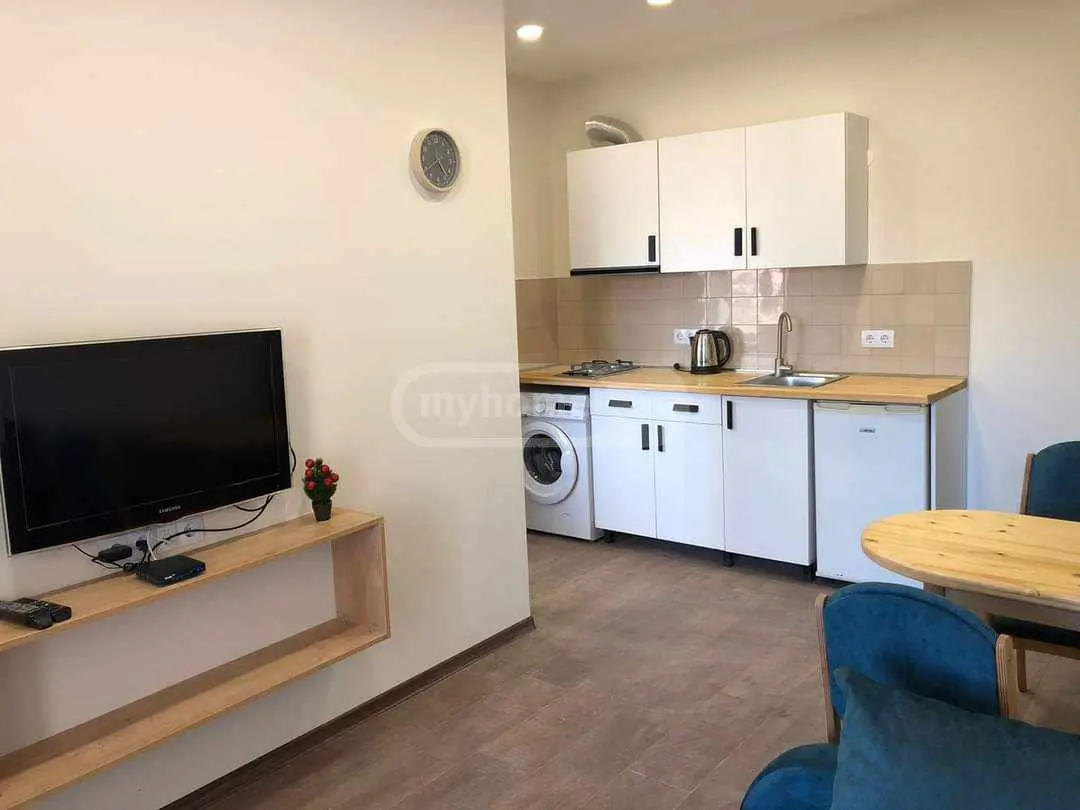 2 Room Apartment For Rent In Bakuriani view 3