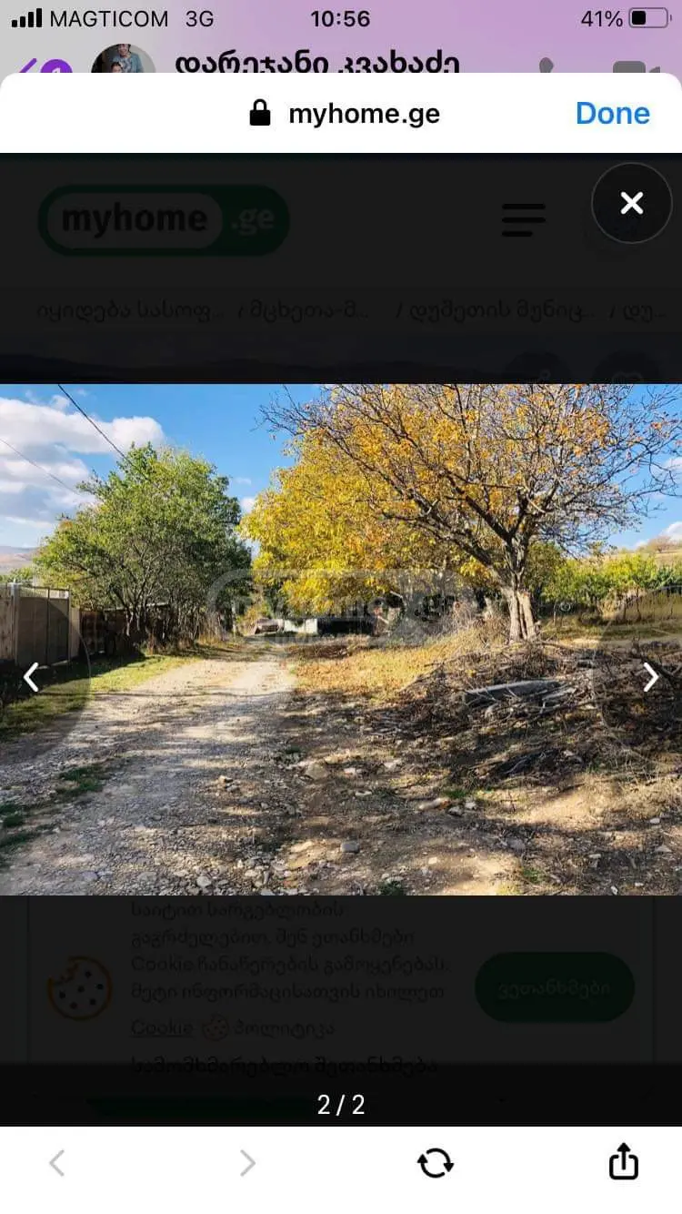 იყიდება Agricultural Plot In Dushetiში view 12