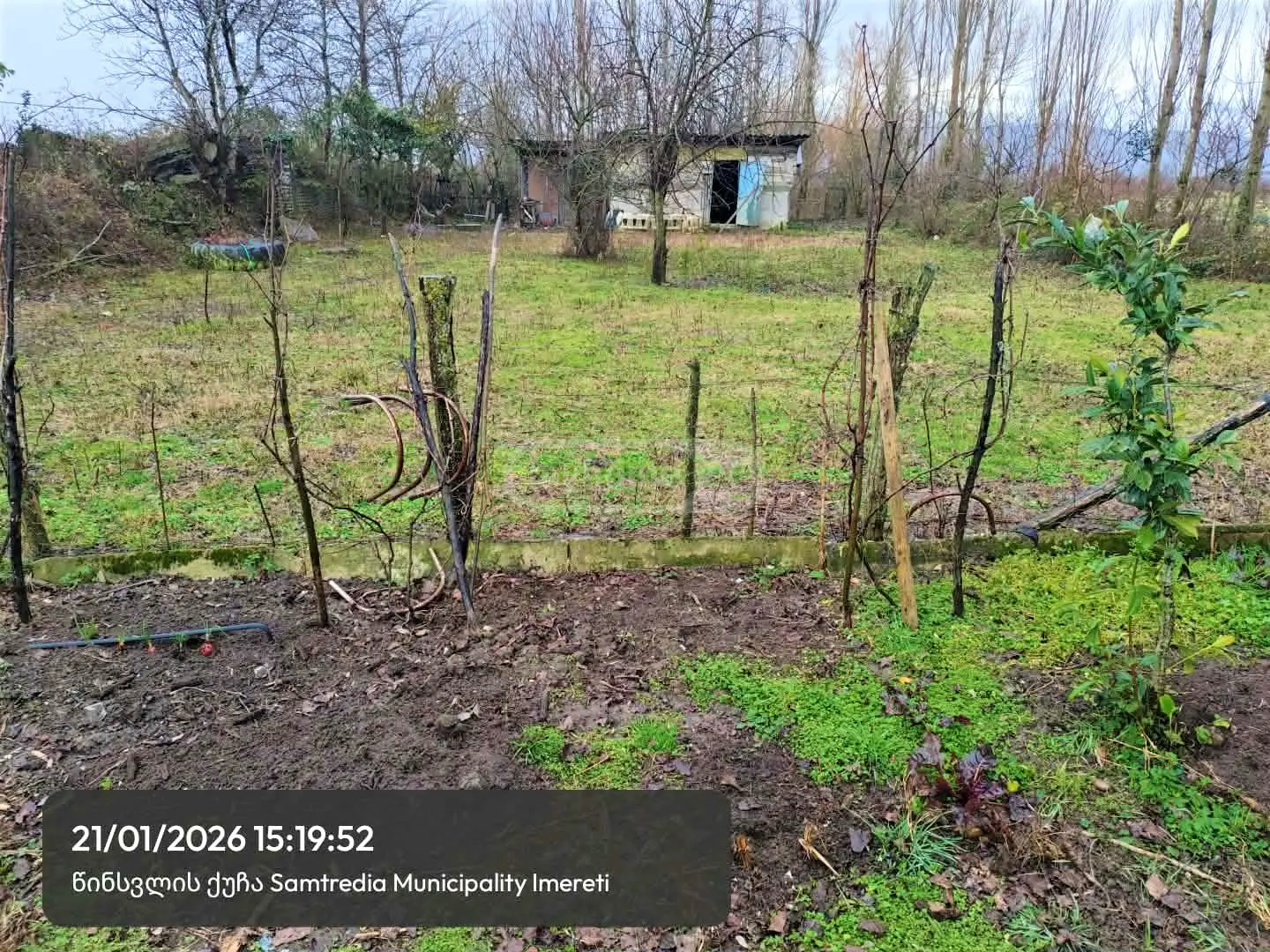 Agricultural Plot For Sale In Samtredia view 1