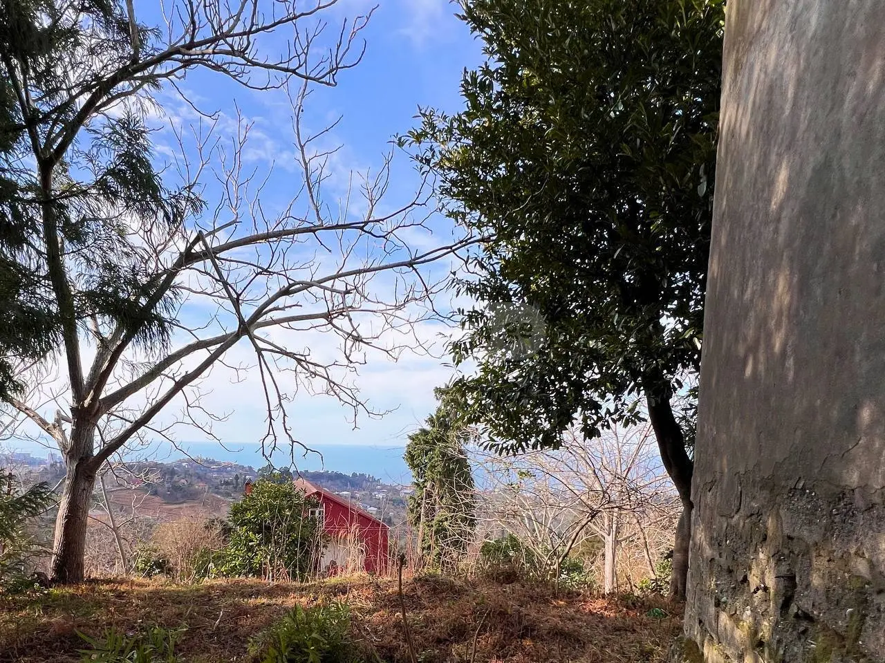 Non-Agricultural Plot For Sale In Chaqvi, In Kobuleti Municipality view 7