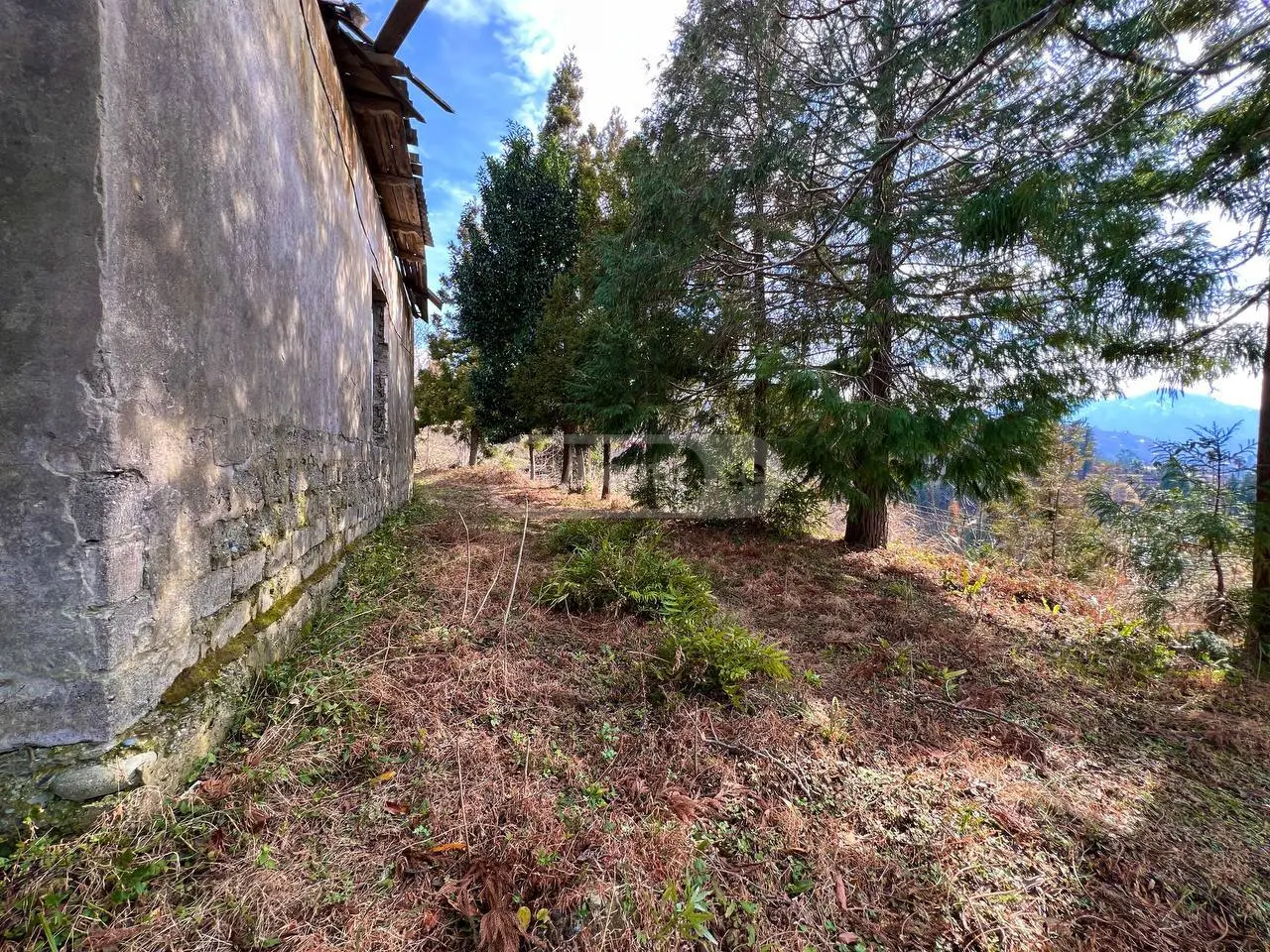 Non-Agricultural Plot For Sale In Chaqvi, In Kobuleti Municipality view 8