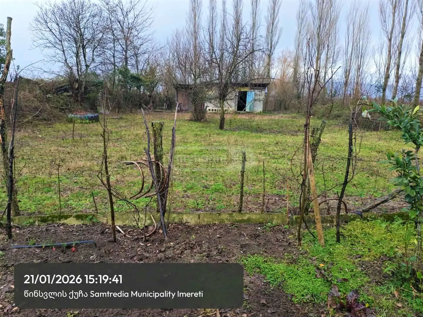 Agricultural Plot For Sale In Samtredia view 2