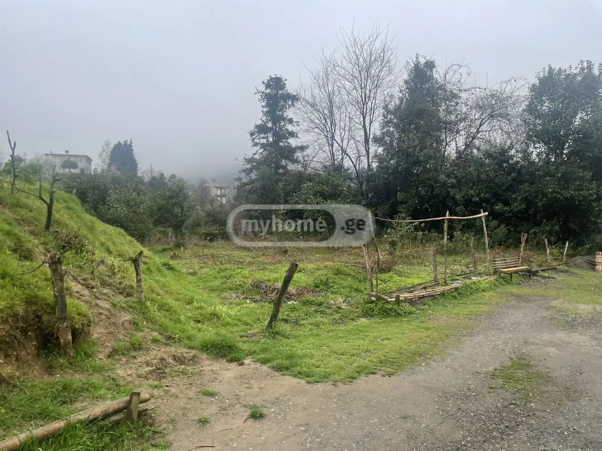 Agricultural Plot For Sale In Khelvachauri view 1
