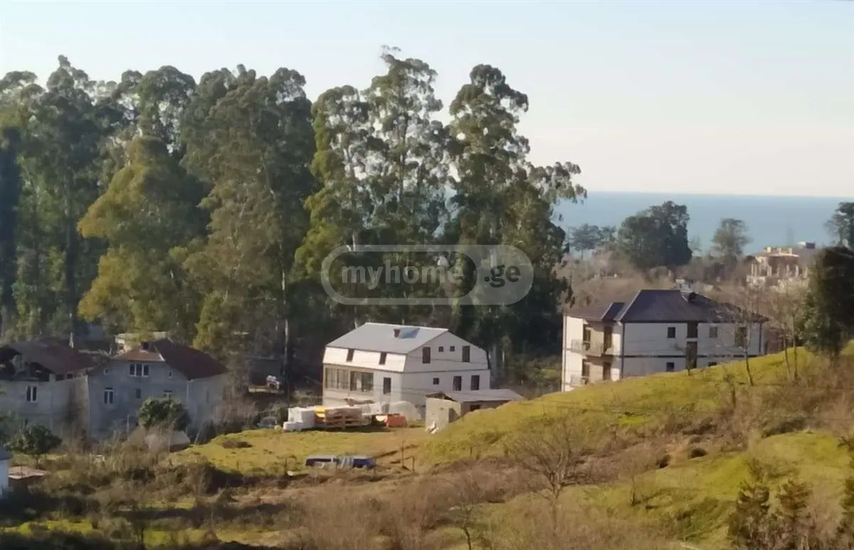 Agricultural Plot For Sale In Chaqvi, In Kobuleti Municipality view 3