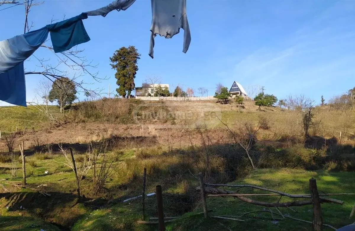 Agricultural Plot For Sale In Chaqvi, In Kobuleti Municipality view 2
