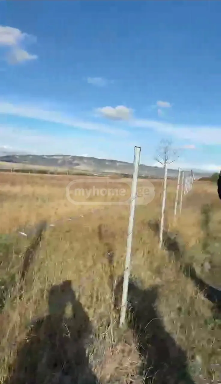 Agricultural Plot For Sale In Kaspi view 5