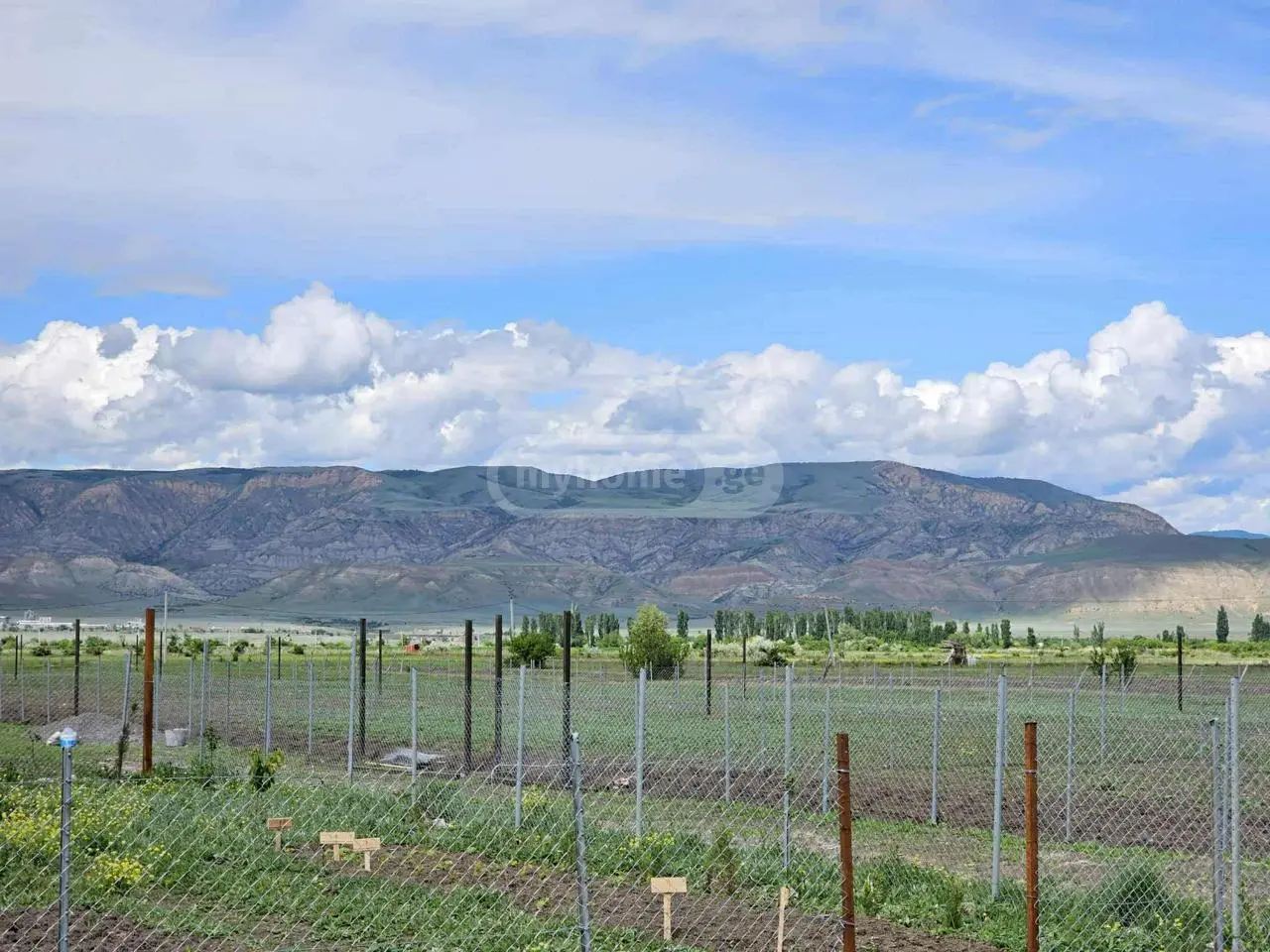 Agricultural Plot For Sale In Kaspi view 2