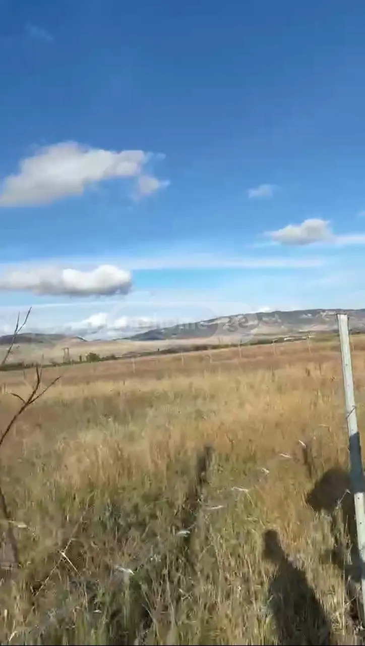 Agricultural Plot For Sale In Kaspi view 4