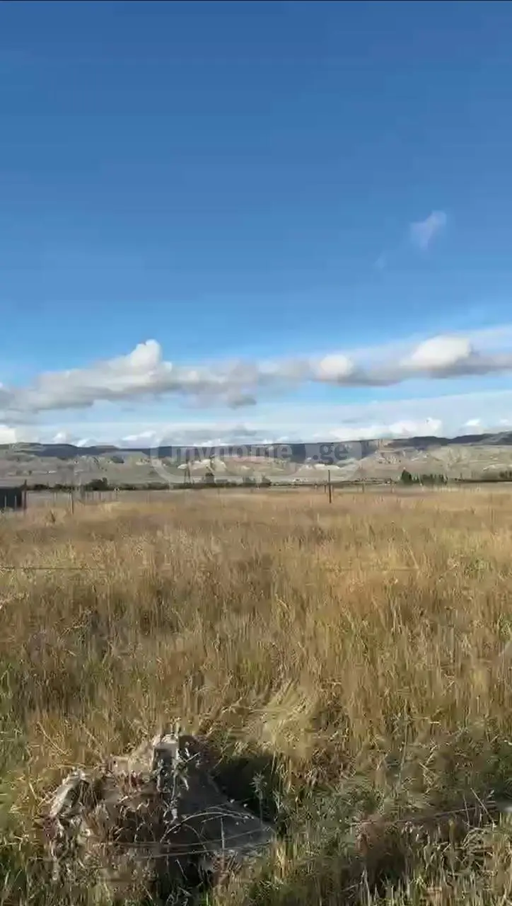 Agricultural Plot For Sale In Kaspi view 6