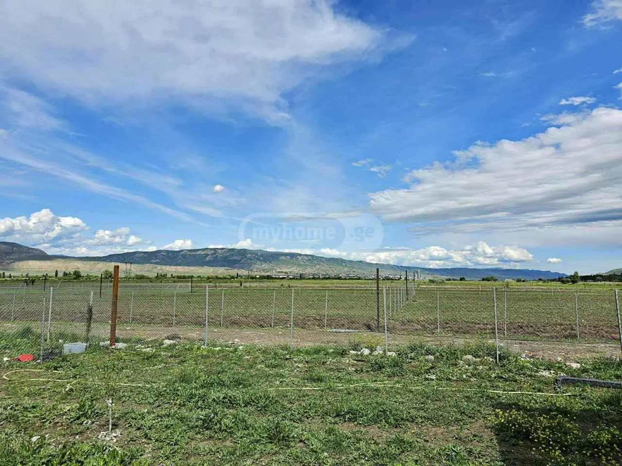 Agricultural Plot For Sale In Kaspi view 3