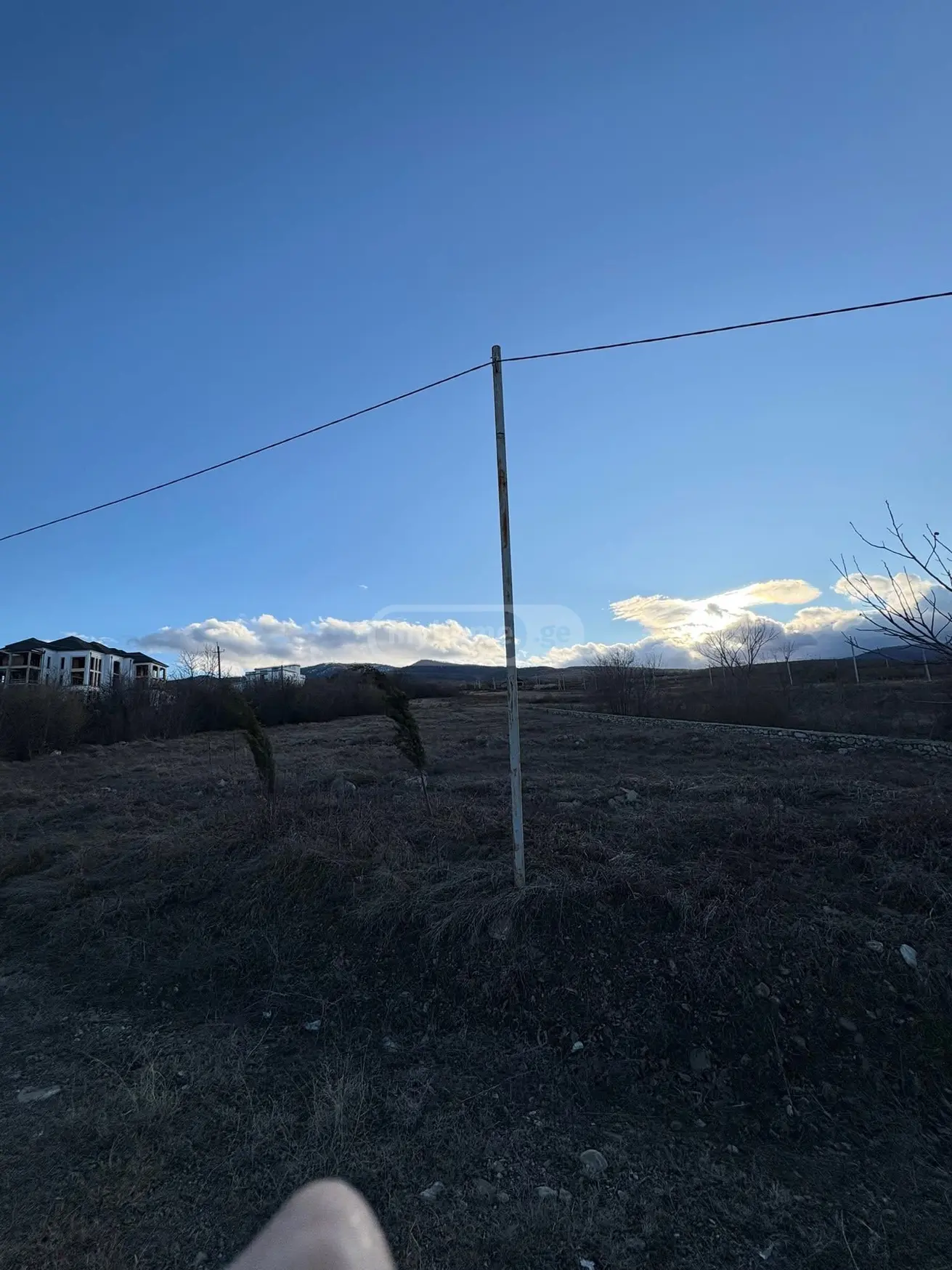 Agricultural Plot For Sale In Telavi view 4