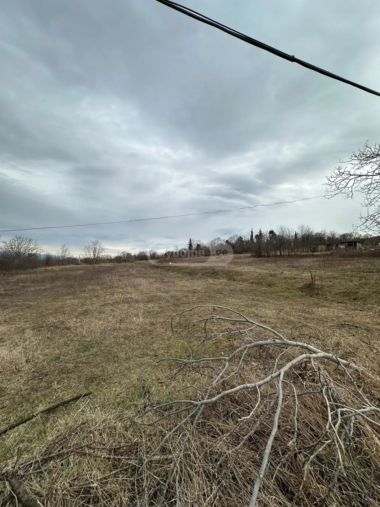 Продажа Agricultural Plot в In Telavi view 3