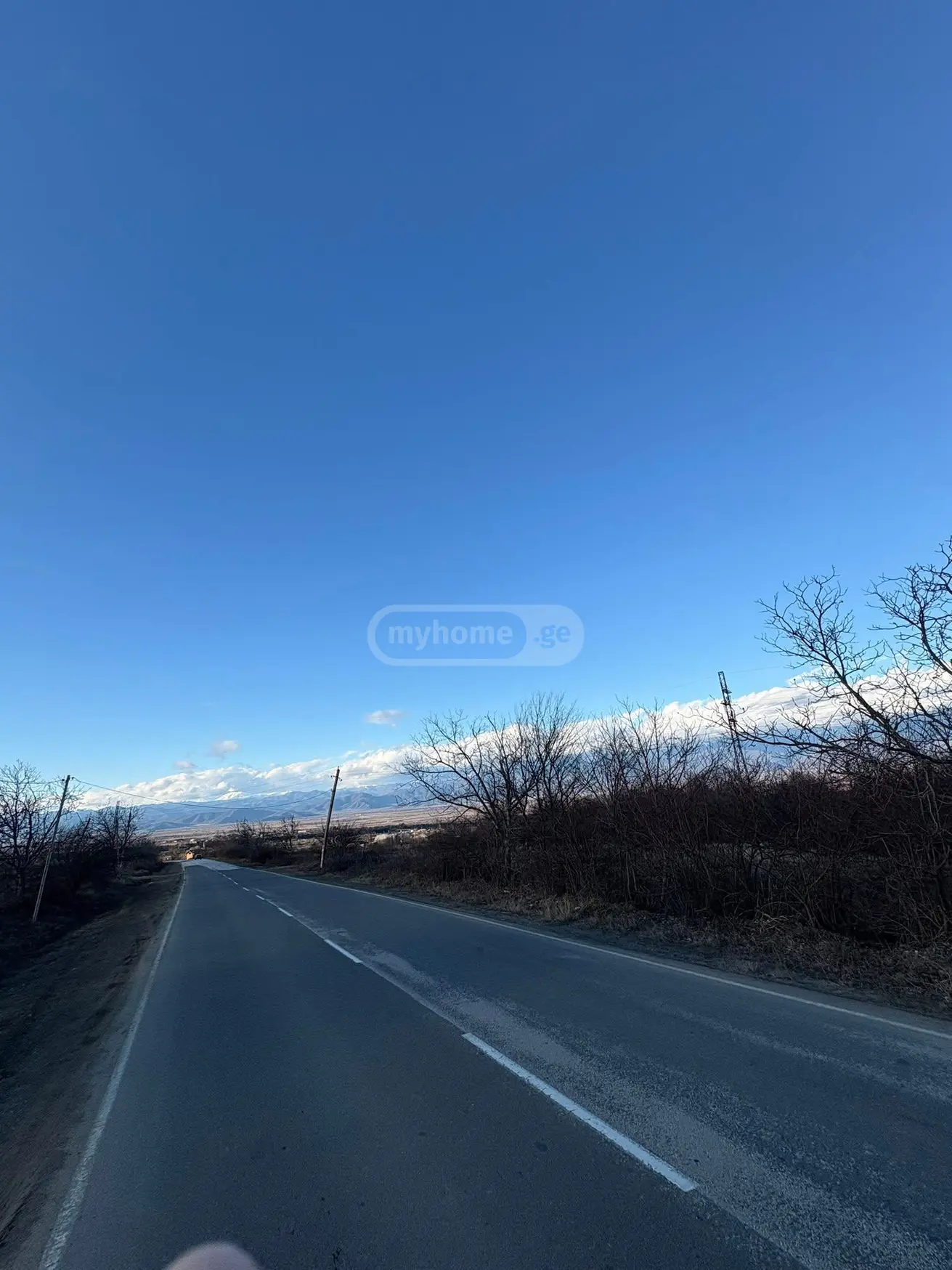 Agricultural Plot For Sale In Telavi view 2