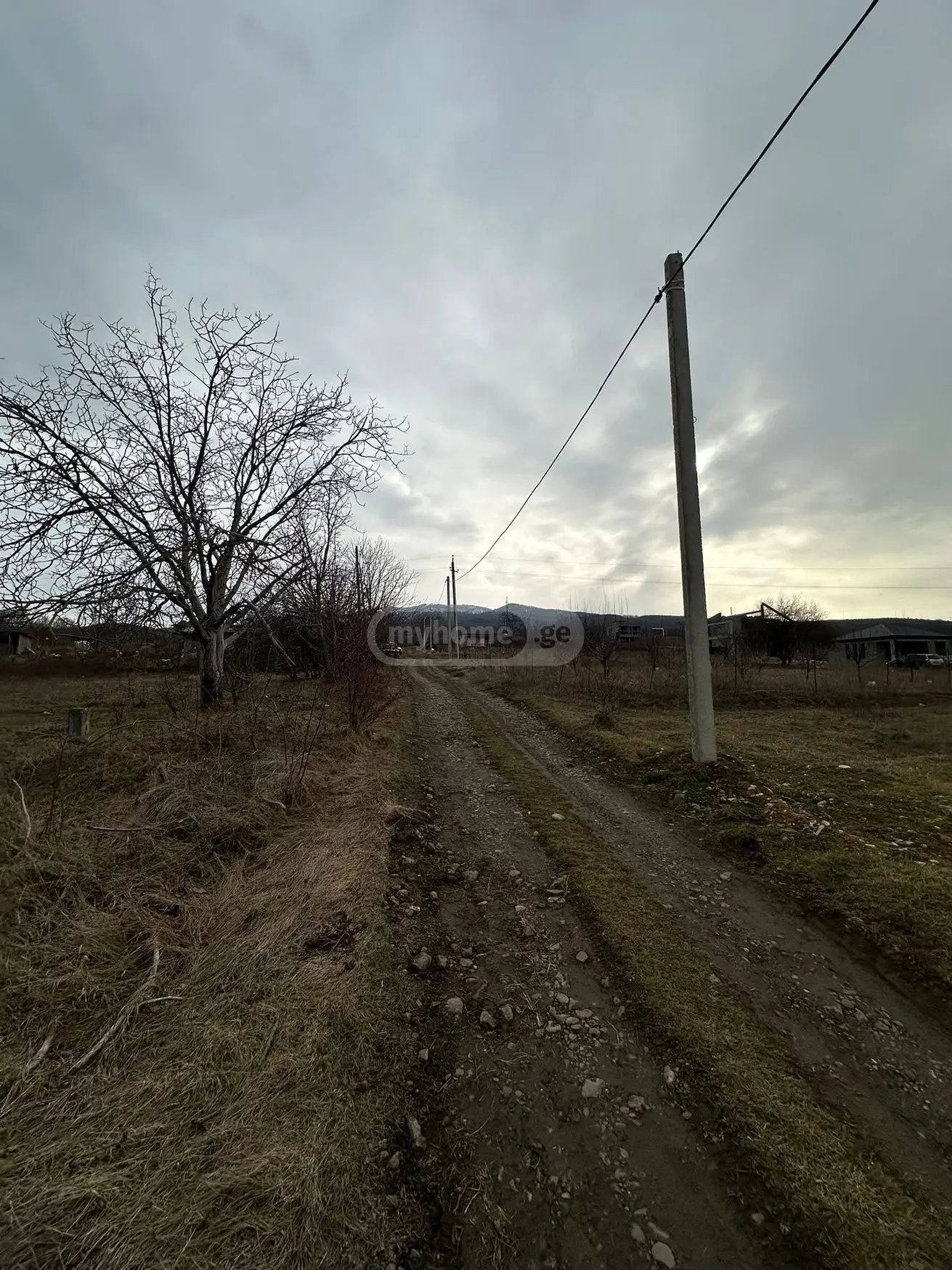 Продажа Agricultural Plot в In Telavi view 2