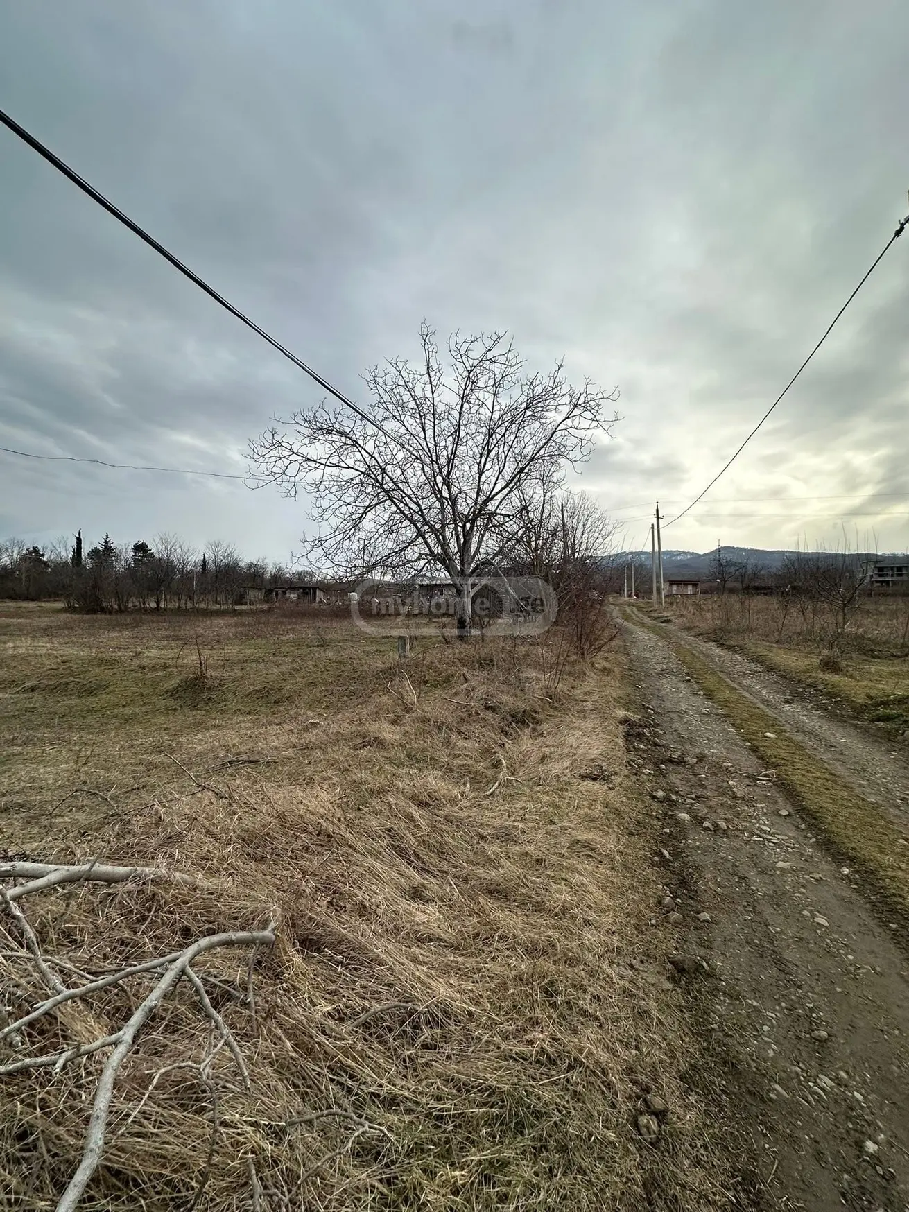 Продажа Agricultural Plot в In Telavi view 6