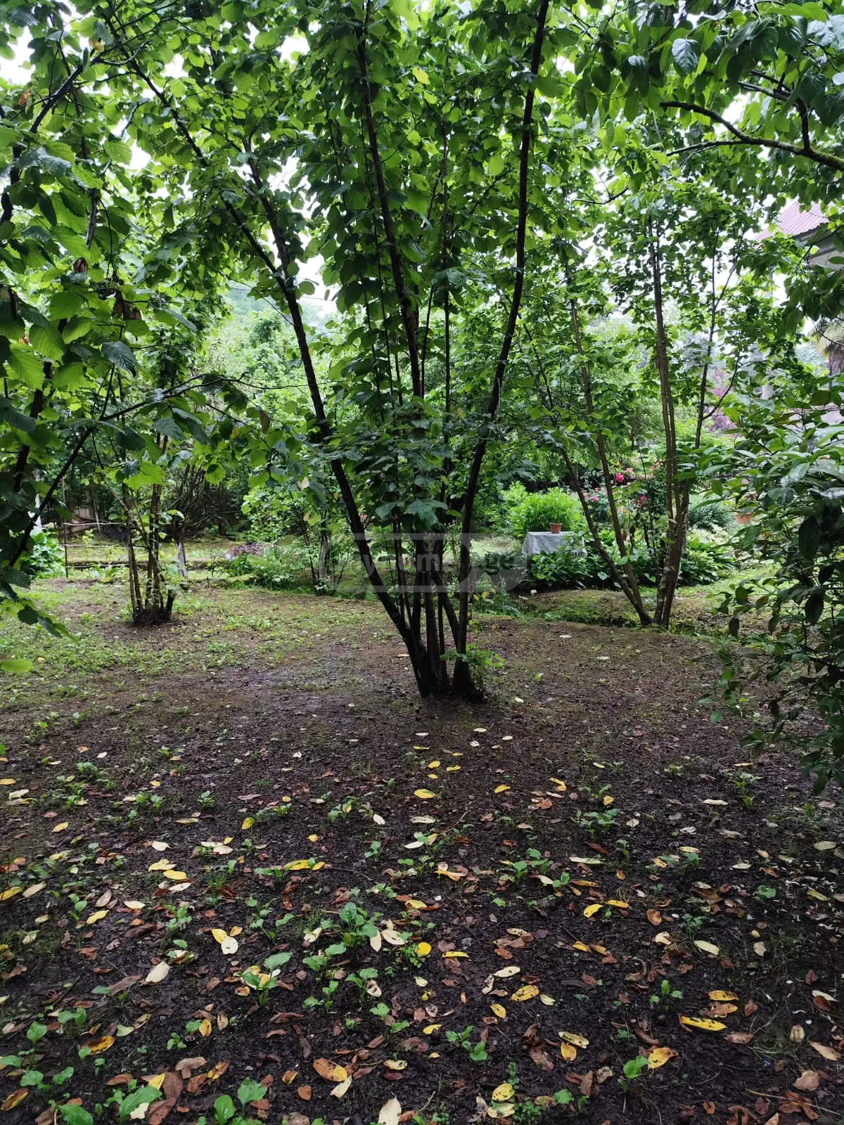 6 Room Private House For Sale view 10